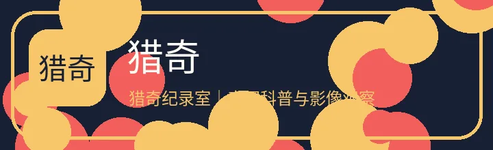 猎奇